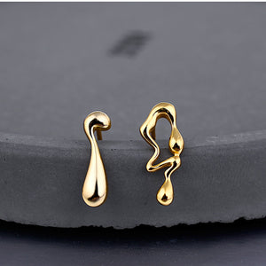 Fashion Silver Earrings for Women Silver 925 Jewelry Stud Earrings Small Earrings Silver Irregular Earing Fine Jewelry Earnings